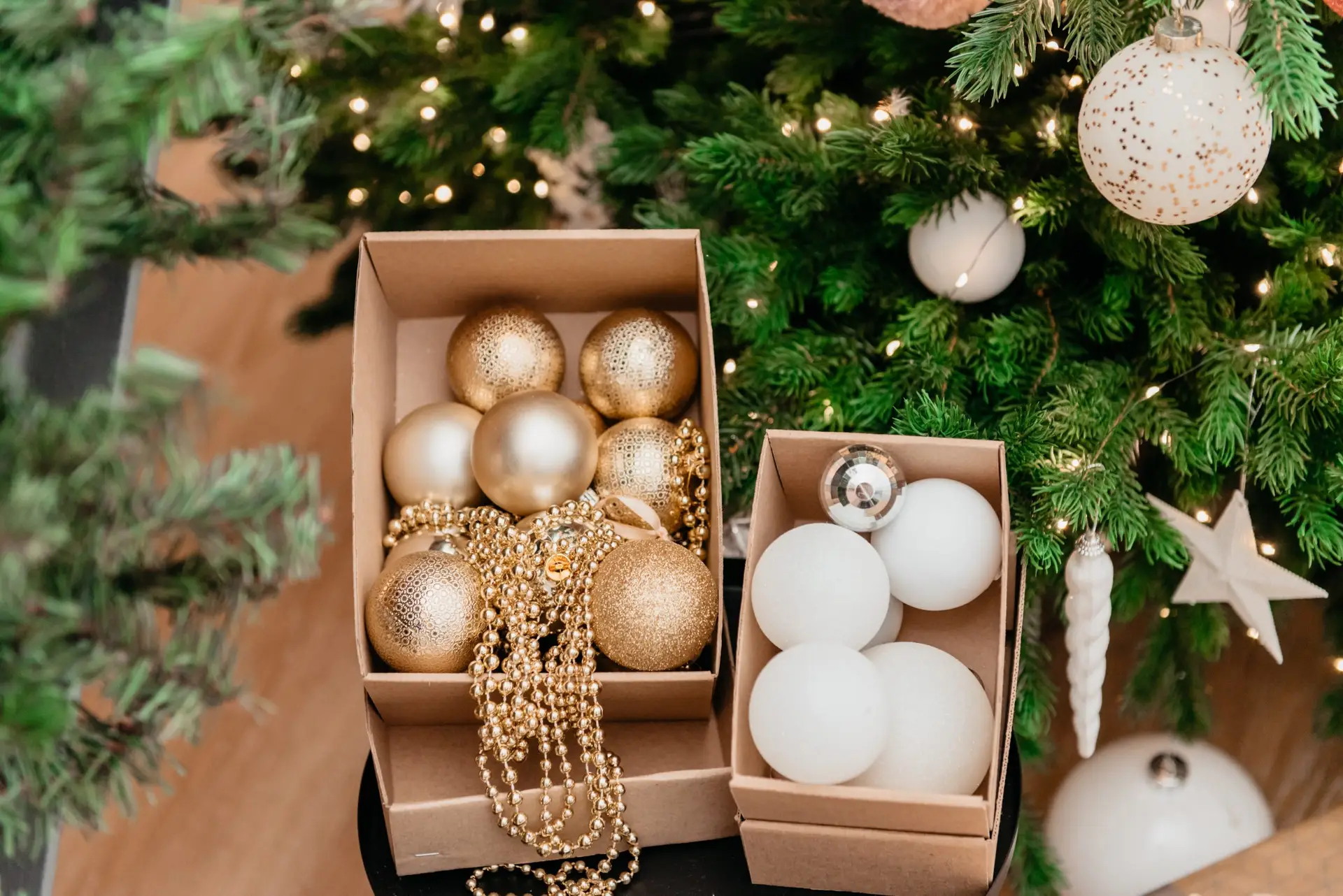 Humidity Controlled Storage