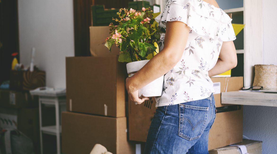 Best Climate Control Storage